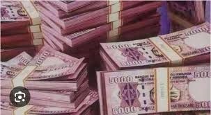 Ikitwa bank Lambert (urunguze) gikomeje kuvuza ubuhuha mu Karere ka Musanze
