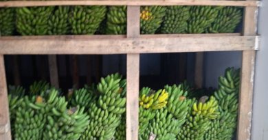 Ibiranga imiterere y’umutobe w’ibitoki wujuje ubuziranenge