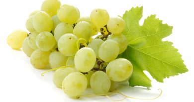 Akamaro k’imizabibu ku buzima