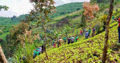 U Rwanda rwiyemeje gutera ibiti birimo iby’imbuto ziribwa n’ibivangwa n’imyaka