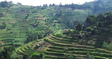 Umushinga ugamije kongera ubushobozi mu micungire y’ubutaka